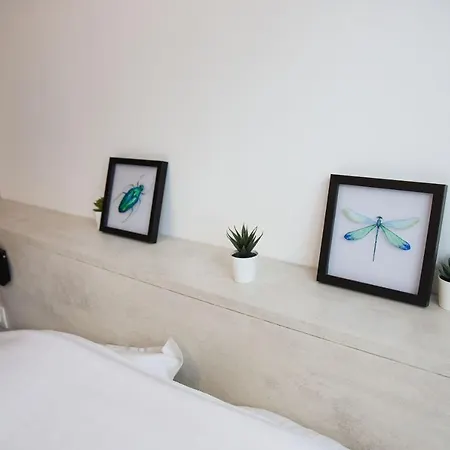 Oparadi - Moderne Et Chaleureux A Apartamento Lille